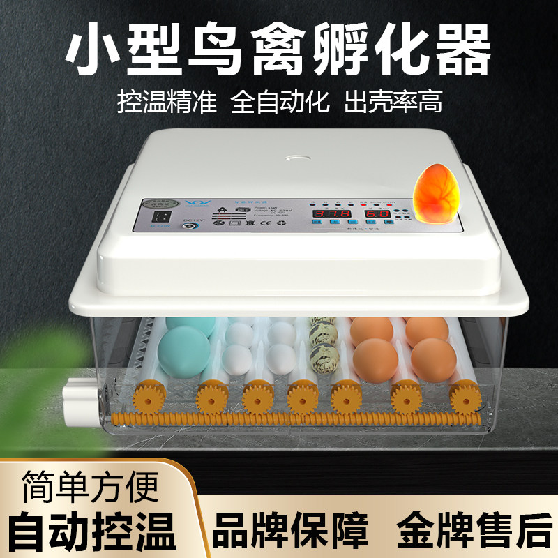 全自动智能孵化器小型家用孵蛋器图片