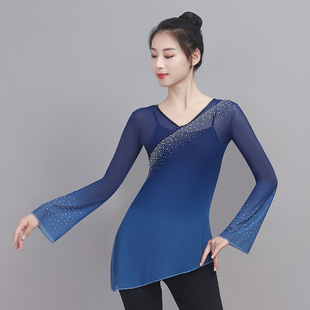 蓝色古典舞韵纱衣艺考舞蹈服渐变长袖中国舞基训服带钻练功服上衣