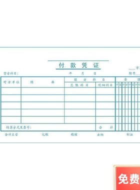青联211付款凭证 210*105mm(35开) 凭证单据 财会用品 75张/本
