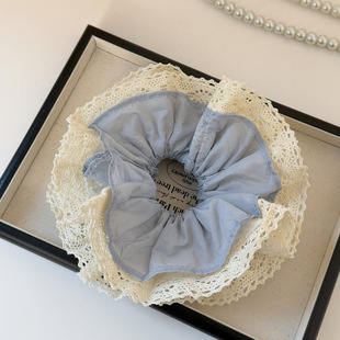 Casual Lace Scrunchie Blue Holder Ponytail