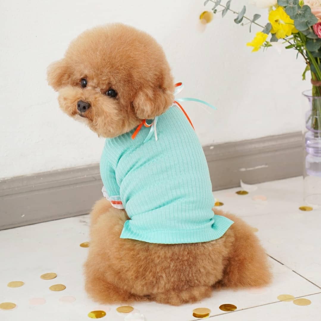 现货韩国dd春季新款超薄背心狗狗