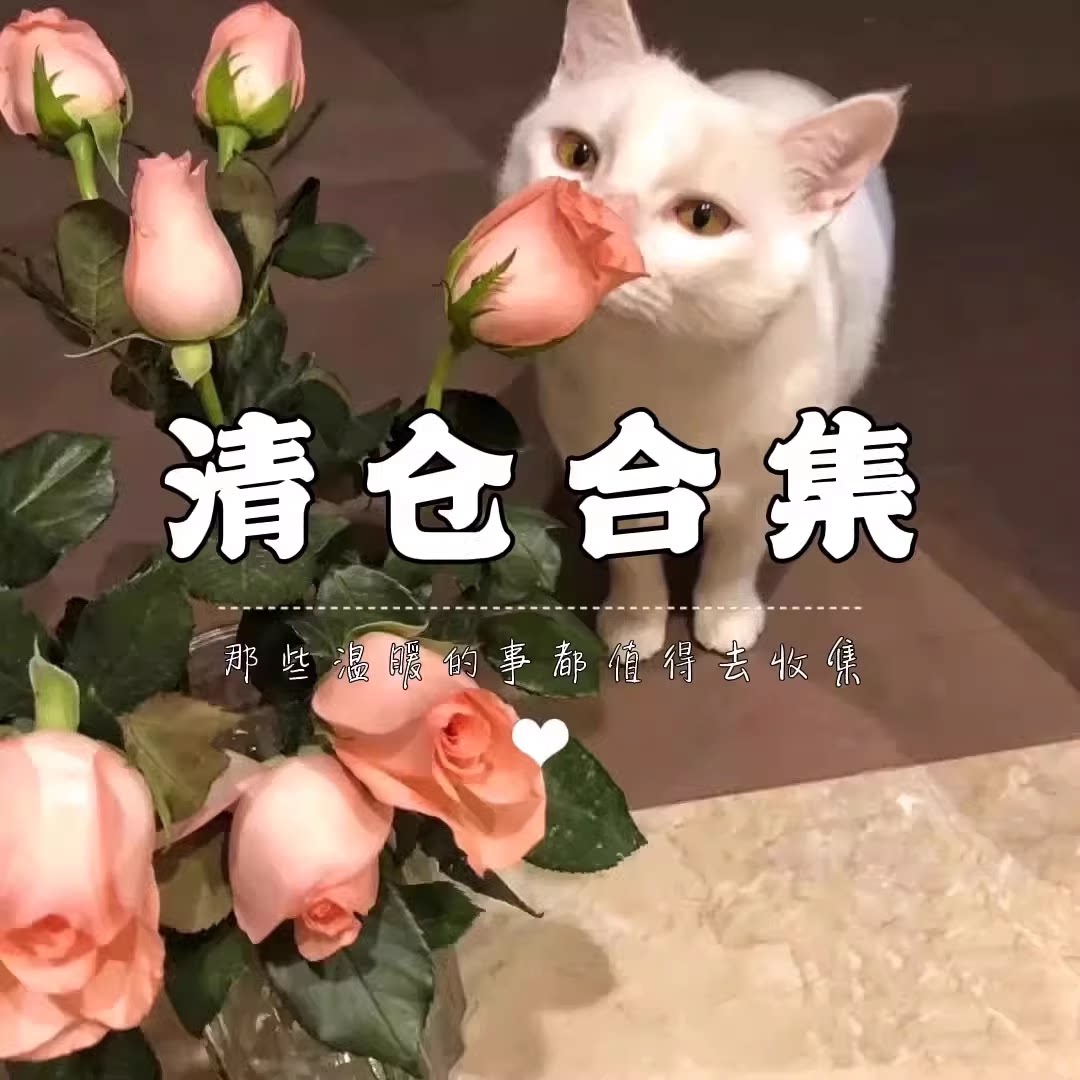 [清仓合集]2024年新款高级感饰品清仓大福利~项链锁骨链毛衣链图片