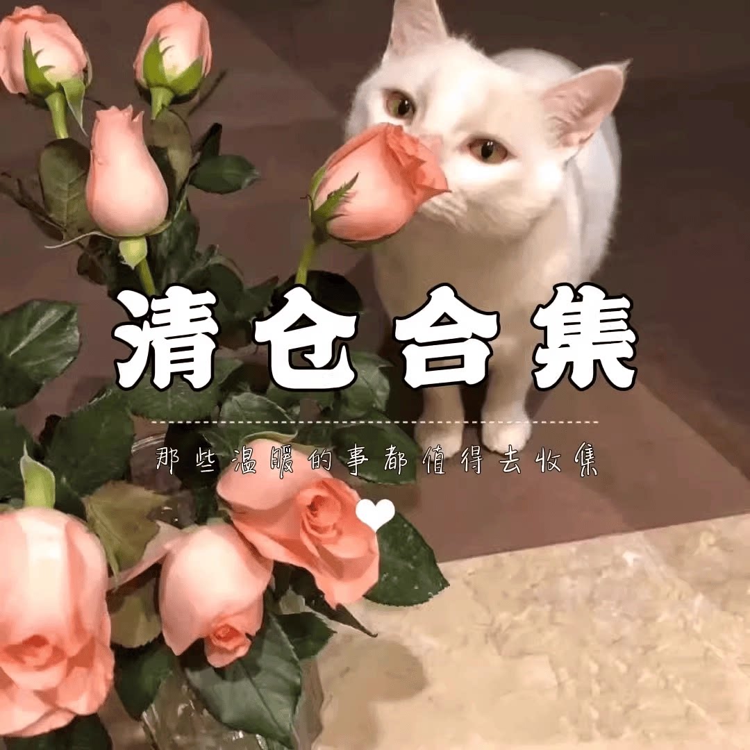 [清仓合集]2024年新款高级感饰品清仓大福利~耳饰耳环耳钉