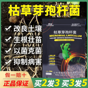 枯草芽孢杆菌农用果树蔬菜防根腐根瘤青枯软腐黄萎立枯微生物菌剂