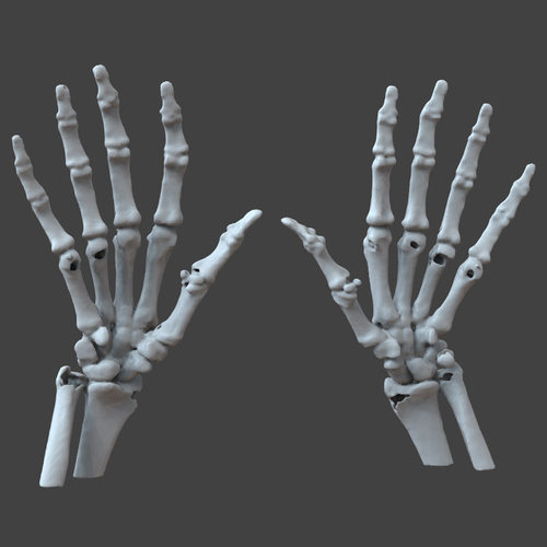 3d打印图纸模型素材文件手骨STL摆件OBJ立体圆雕图F3379
