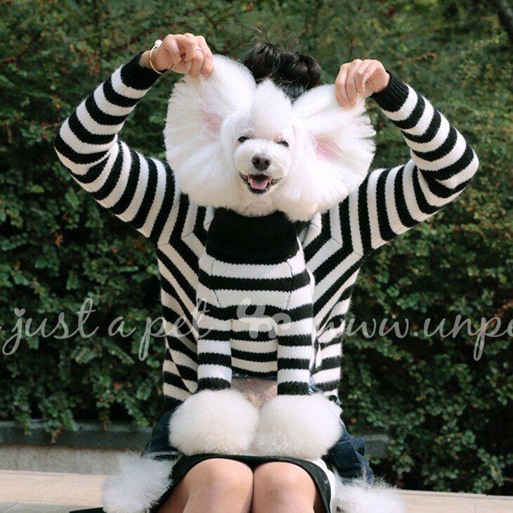 宝眷宠物亲子款泰迪衣服雪纳瑞猫咪狗狗衣服保暖加厚毛衣百搭耐穿