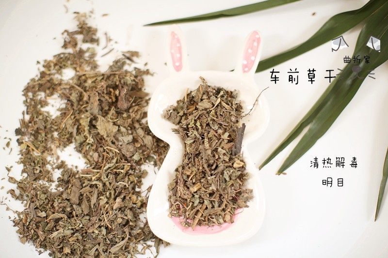 商品滿15元起發貨 倉鼠金絲熊花枝混糧 零食 車前草幹清熱明目10g在類目 寵物/寵物食品及用品, 倉鼠類及其它小寵, 飼料/零食中 - 來自Buy2taobao.com提供專業的淘寶代購服務