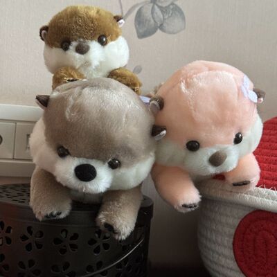 浮在水面的趴趴海獭毛绒公仔
