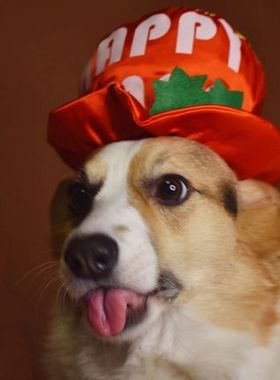 外单 适合大型犬 金毛阿拉斯加 哈士奇 圣诞头饰红色宠物应景脖圈