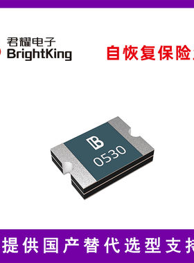 君耀自恢复保险丝BK30-400-SZ
