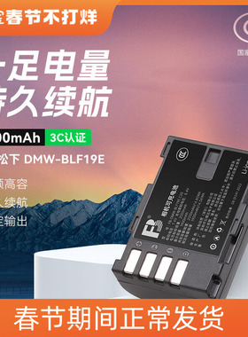 沣标适用松下DMW-BLF19E电池GH4 GH5 GH3相机GH5S DC-G9LGK充电器