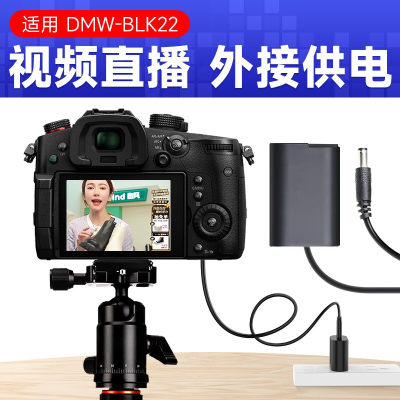 松下DMW-BLK22模拟电池假电池