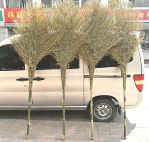把马路竹扫帚单环卫园林手开票工大扫工厂位帚把大扫扫把大号竹扫