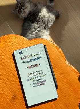 现货三年保reMarkable paper pro Move彩色墨水屏手写阅读记事本
