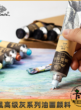 Phoenix/凤凰画材艺术家高级灰色系油画颜料灰度50ml单支特殊色