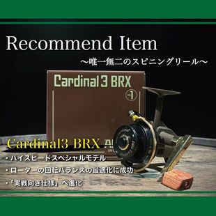 DAYSPROUT日本复古纺车轮新款 BRX溪流红衣教主限定 CARDINAL33CDL