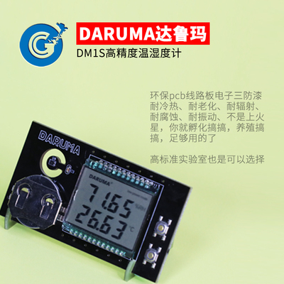 温度计湿度计高精度DM1S