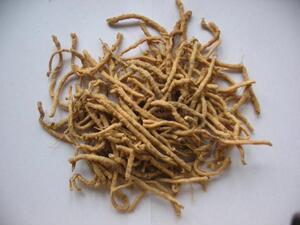 中药材 远志肉 500克仅售95元
