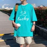 湖绿