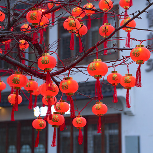 太阳能红灯笼串灯彩灯户外树上庭院小花园过年春节结婚氛围装饰灯