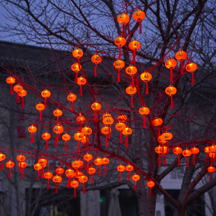 挂树上的小灯笼太阳能新年树灯彩灯满天星led灯带户外缠树灯串灯