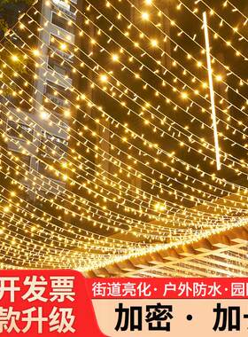 led彩灯闪灯串灯满天星户外防水星星灯树灯24V低压街道工程亮化灯