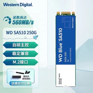 SSD SA510 西数 SATA协议2280固态硬盘 Blue蓝盘 M.2 500G