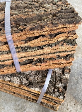 香槟树皮真树皮软木树皮 爬宠缸造景树皮装爬箱树皮耐用天然树皮