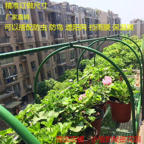 植物遮阳棚价格 植物遮阳棚图片 星期三