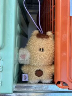 2026马｜中国原创小马玩偶挂件公仔新年礼物生肖挂饰可爱少女礼品