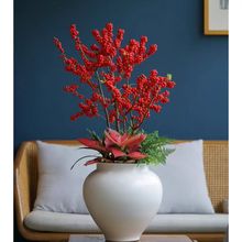 北美冬青树苗鲜花红果发财果盆栽植物超耐寒新雪丽直发爆盆公盆