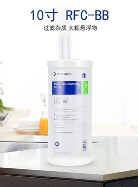 滨特尔大胖滤芯大胖滤瓶 10寸 20寸 RFCBB滤芯 DFX10BB FLOPLUS