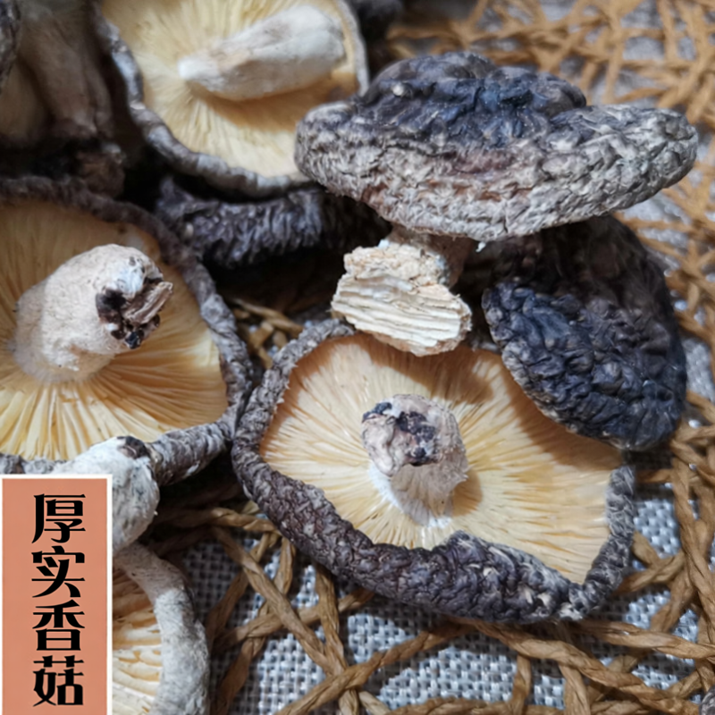 新货农家树香菇干带脚小树菇干货福建特产原木新货香菇250g