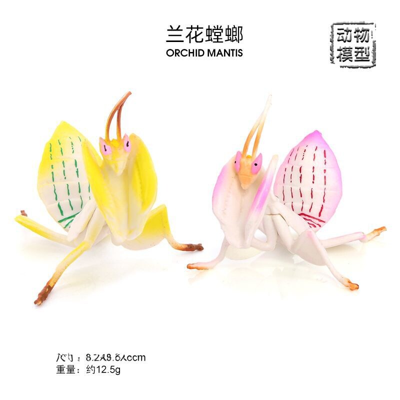 仿真昆虫动物模型兰花螳螂枯叶螳螂塑胶儿童认知动物玩具摆件