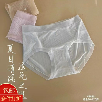 女生莫代尔内裤高弹透气清凉5885
