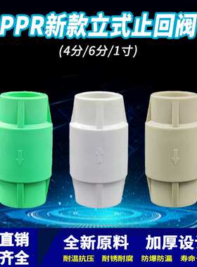 PPR热熔立式止回阀4分6分1寸止回阀防倒流家装水管件
