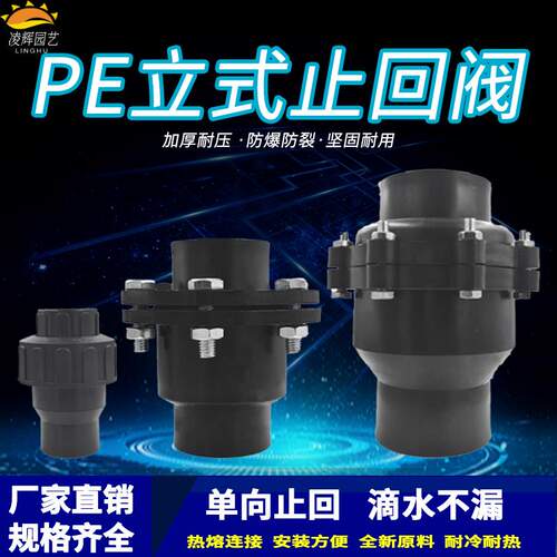 PE20活接热熔立式止回阀