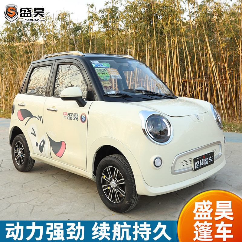 盛昊皮卡丘电动四轮车成人代步女士全封闭新能源锂电池四轮电动车