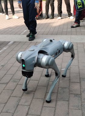 全国租赁宇树Unitree机器人机器狗出租Go2本地出租展会开幕热场