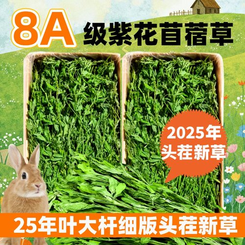 苜蓿草兔子粮草紫花干专用牧草
