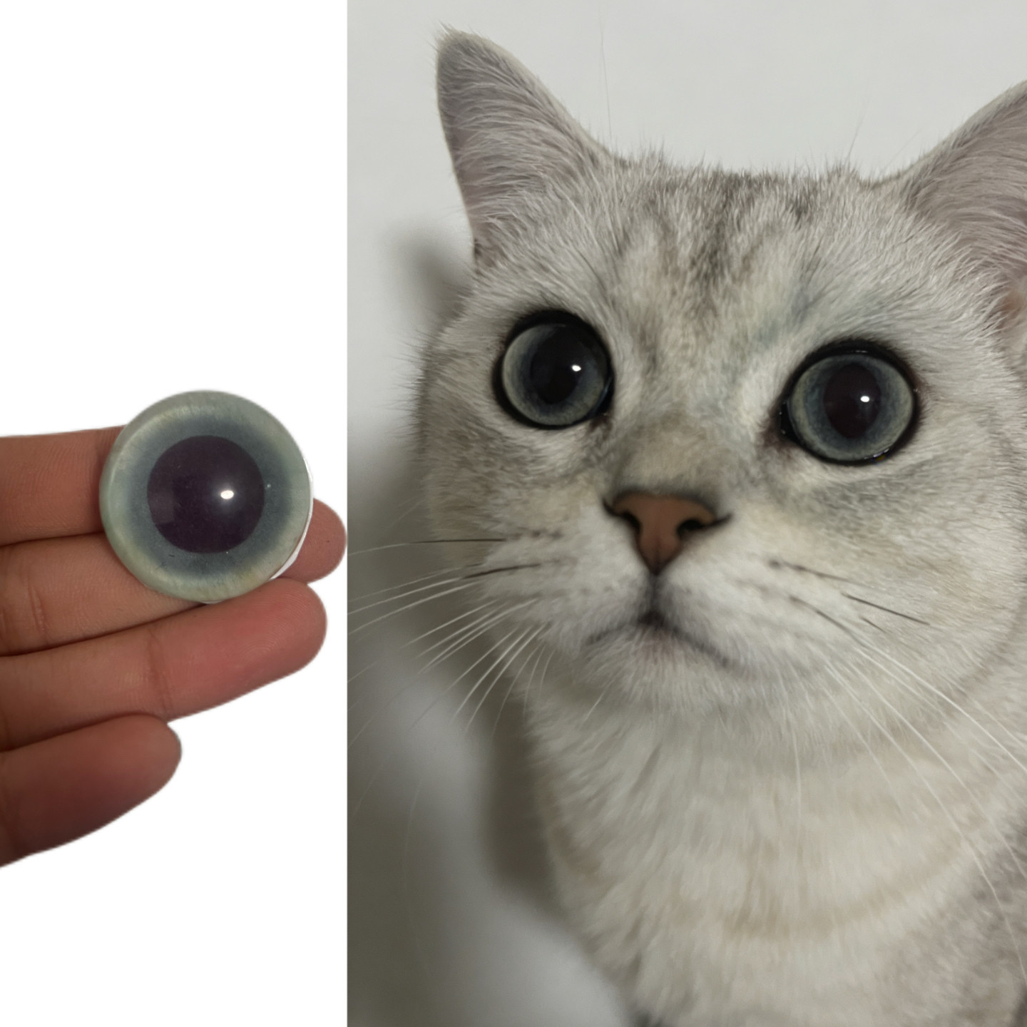 猫圆瞳孔兽头兽装玩偶半球玻璃眼睛毛毡动物圆瞳仿真扭扭棒福瑞,模玩/动漫/周边/娃圈三坑/桌游,furry福瑞/兽装,淘宝优惠券,粉丝福利购,淘宝优惠卷