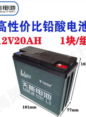 山水 松川国际广场舞音响电瓶电池 12V20A