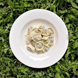 生鲜冷链上海野荠菜鲜肉小馄饨2盒48个无添加儿童早餐上汤小云吞