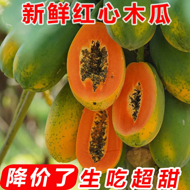 海南红心木瓜生吃超甜孕妇可吃