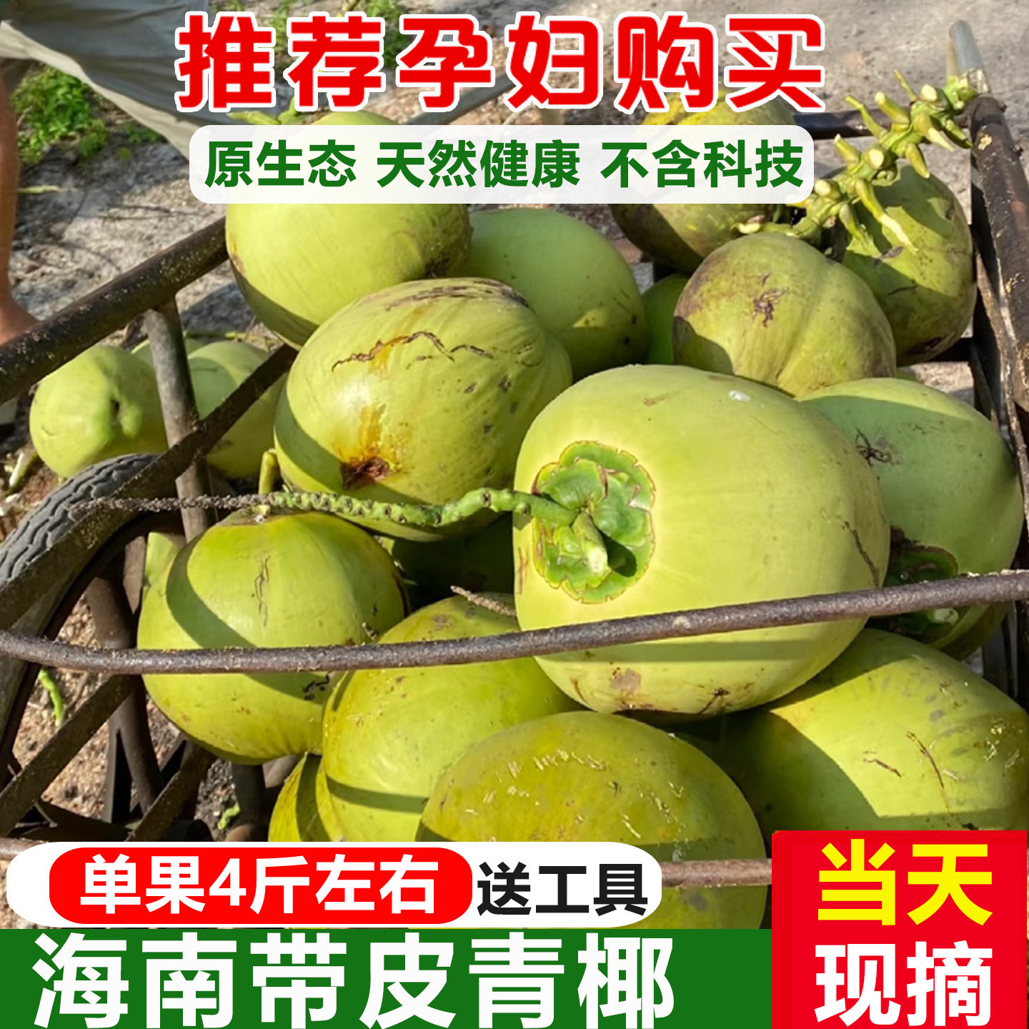 现摘大果海南文昌三亚新鲜带皮青椰子汁水多孕妇补羊水嫩椰青特产