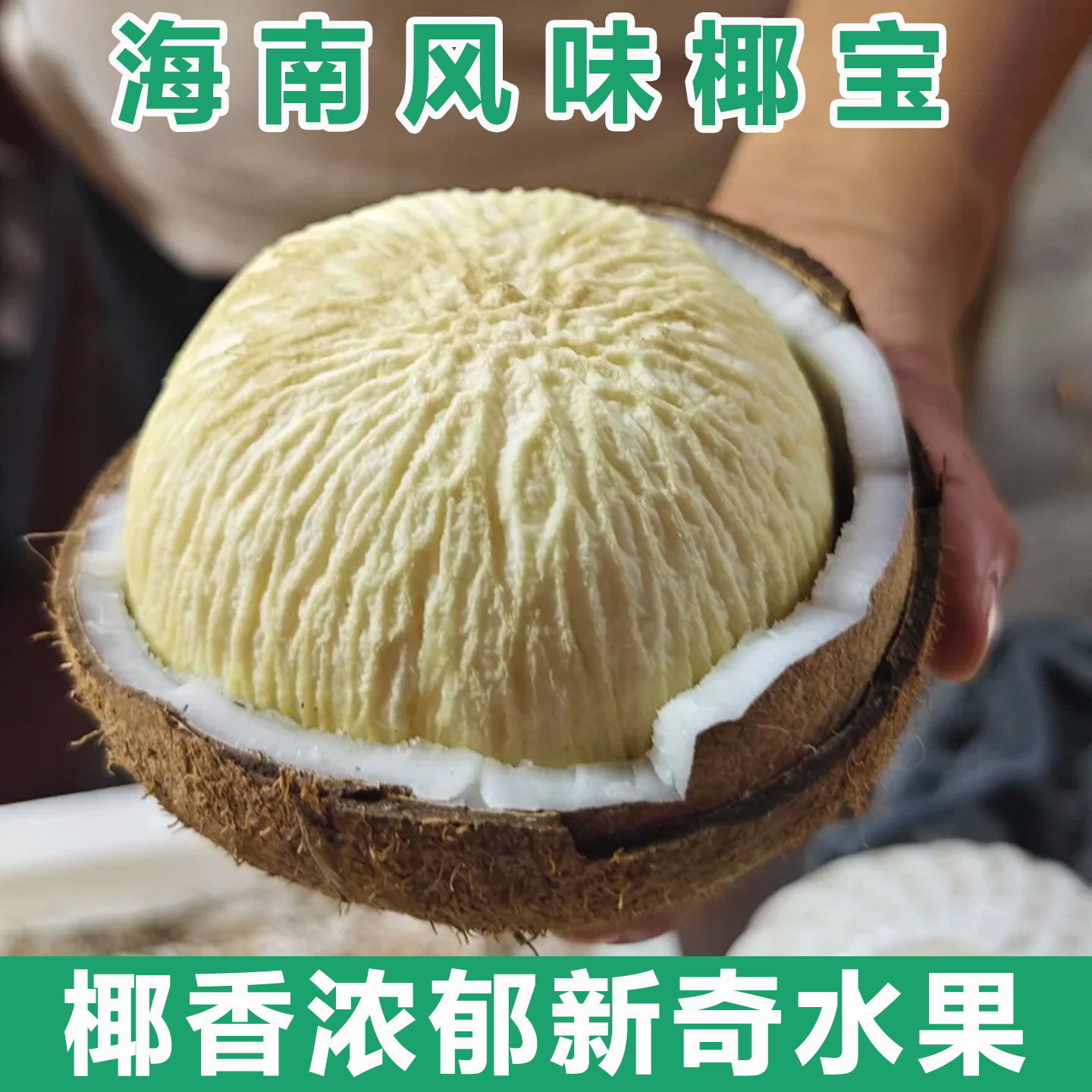 海南文昌三亚新鲜水果椰宝椰皇椰子芯牛奶椰饼发芽老椰子煲汤盆栽
