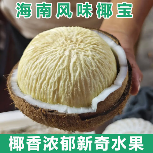【15年老店】海南椰宝发芽老椰子