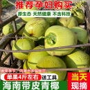 现摘超大果海南文昌三亚新鲜带皮青椰子汁水多孕妇补羊水椰青特产