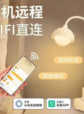 USB照明灯携触控遥控夜灯无极调光控制护眼小夜灯已接入米家APP