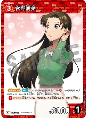 蓝海日文DCCG名侦探柯南卡牌游戏B01075红C角色卡0065宫野明美